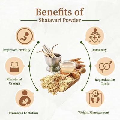 Safed Shatavari Root Powder – 100% Pure Shatavari for Women’s Health & Hormonal Balance (100g)